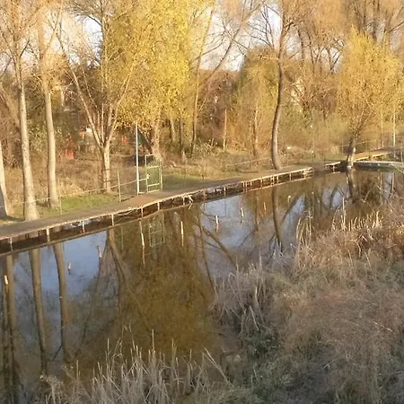 Molni *