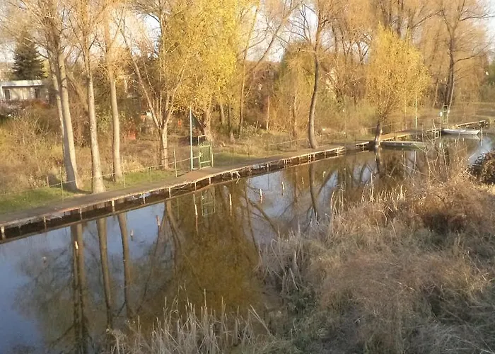 Molni *